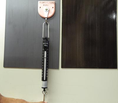 ���o�[�}�O�l�b�g